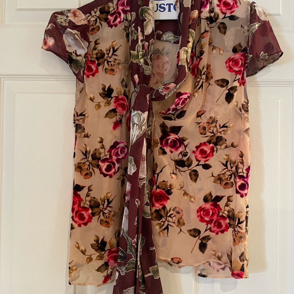 Alice + Olivia Sheer Floral Short-Sleeve Blouse in Beige and Burgundy